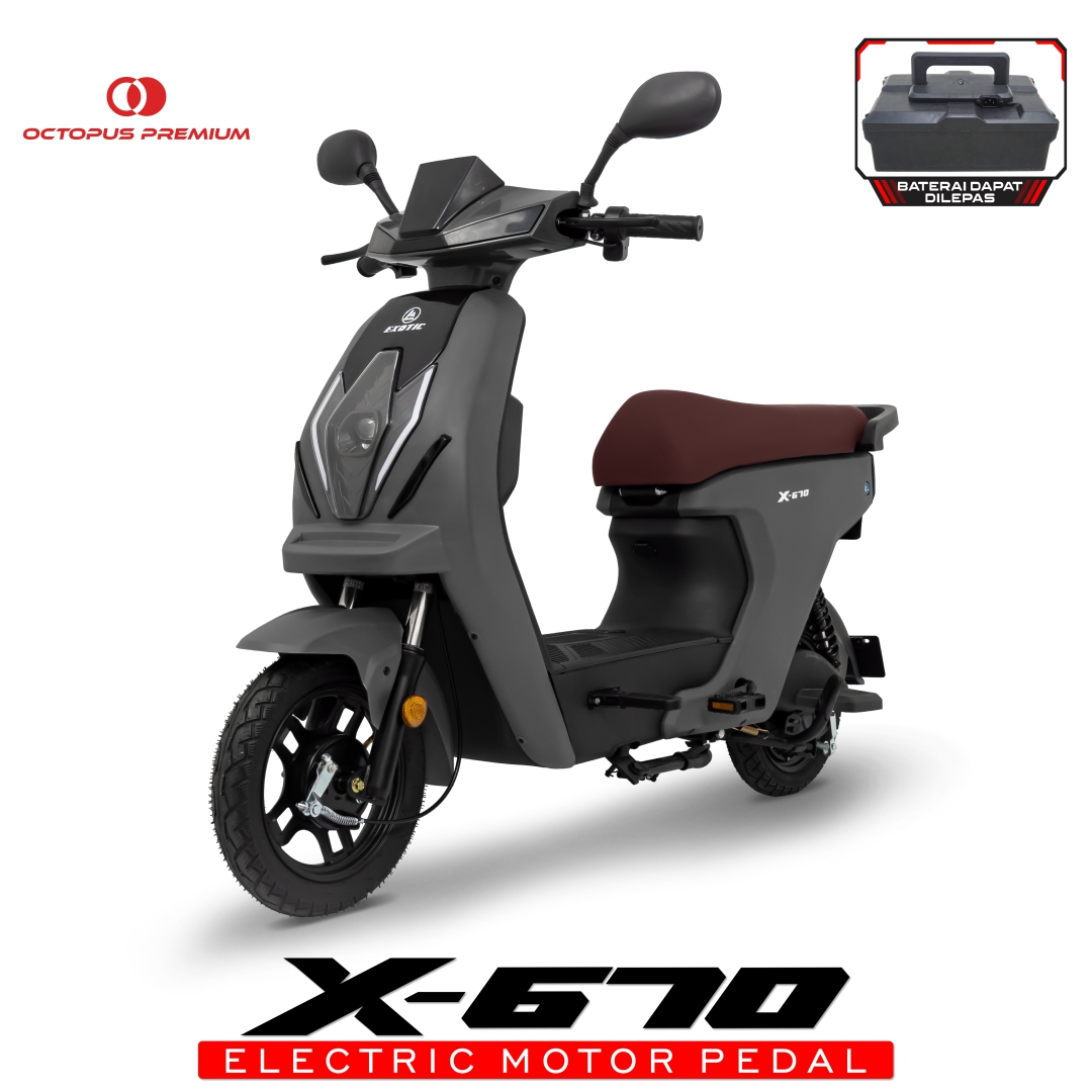 sepeda listrik exotic x 670 grey abu abu