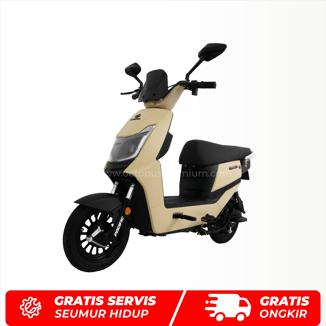 sepeda listrik pacific blizzard 2.0 baterai lithium