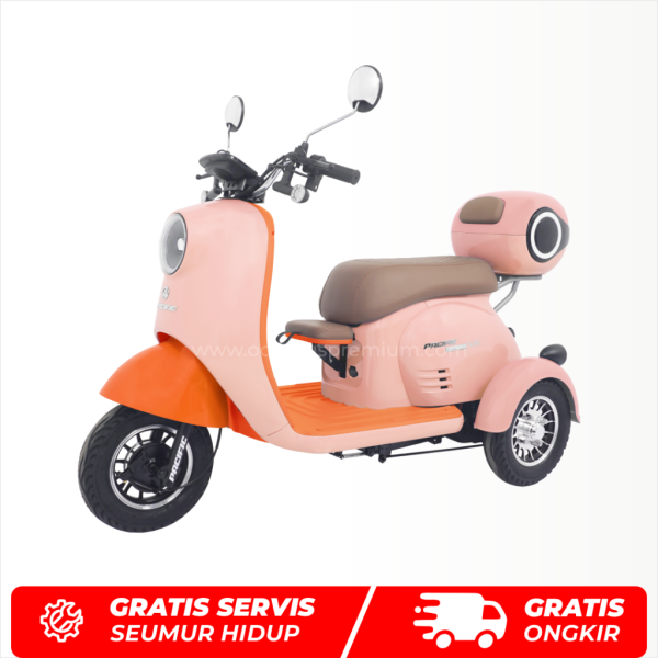 Pacific Crosser VX