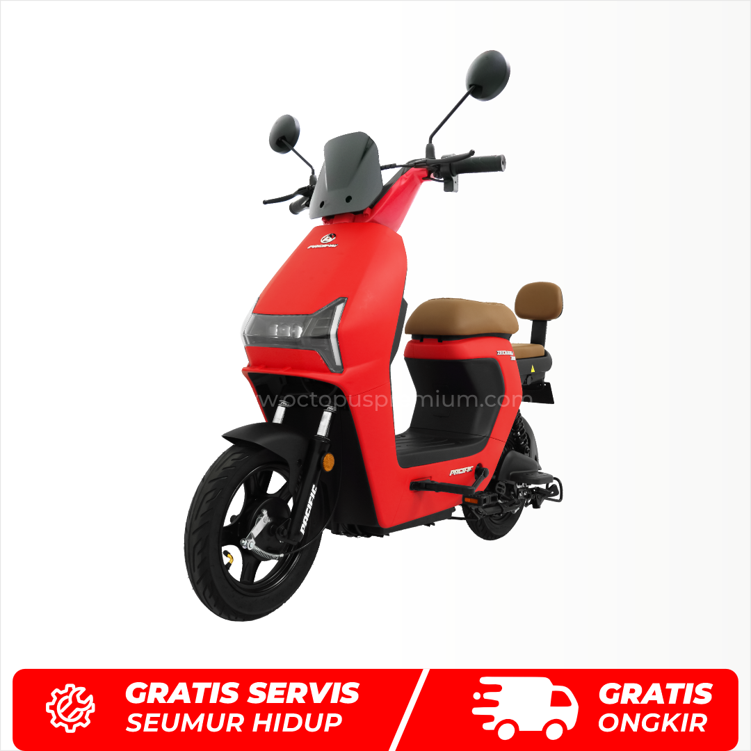 sepeda listrik pacific zeckrom 300