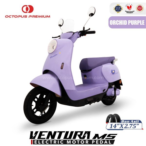 Pacific Ventura M5
