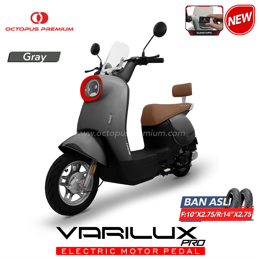 sepeda listrik exotic valirux pro abu abu