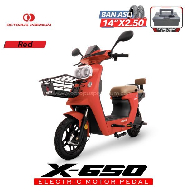 Exotic X 650