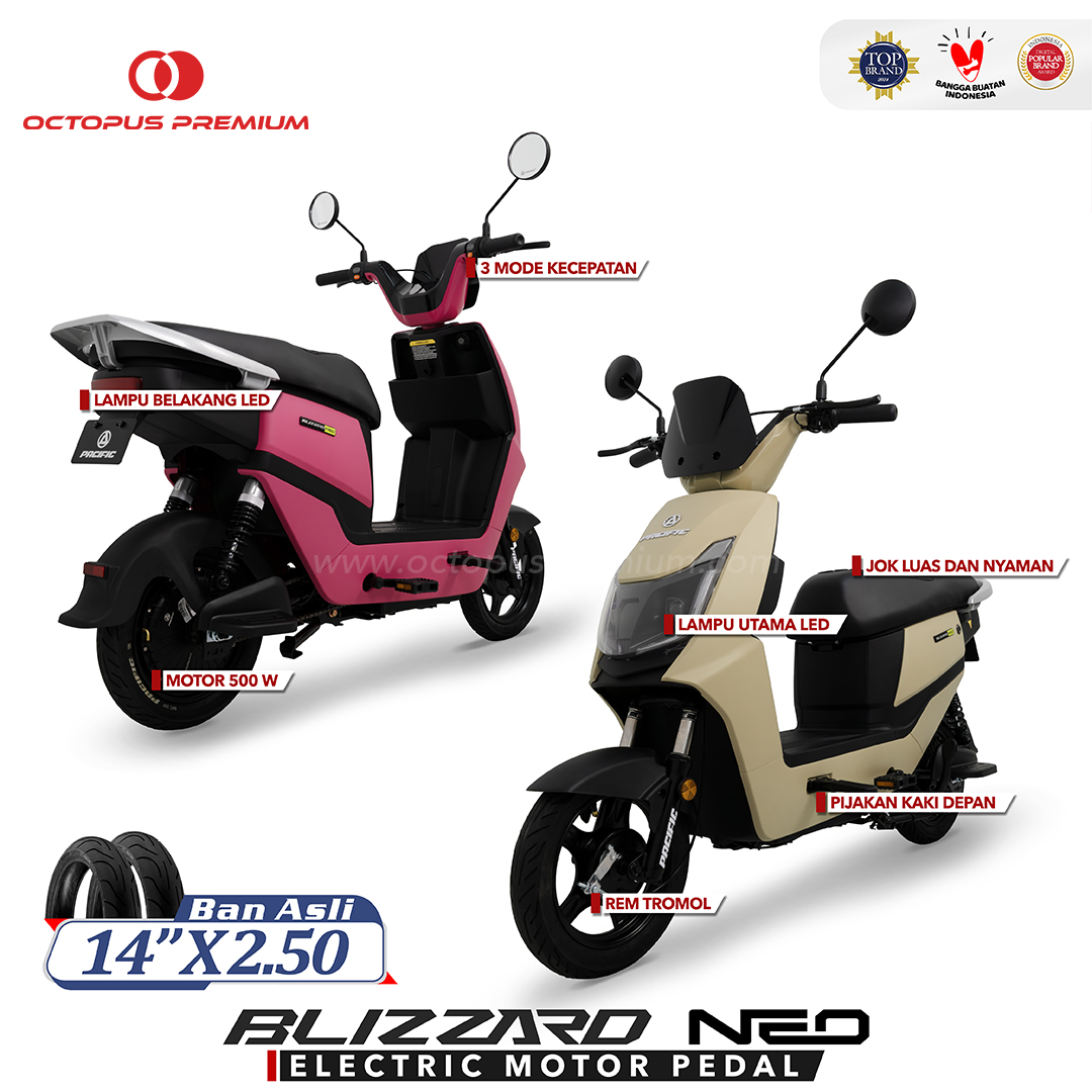 Fitur Sepeda Listrik Pacific Blizzard Neo