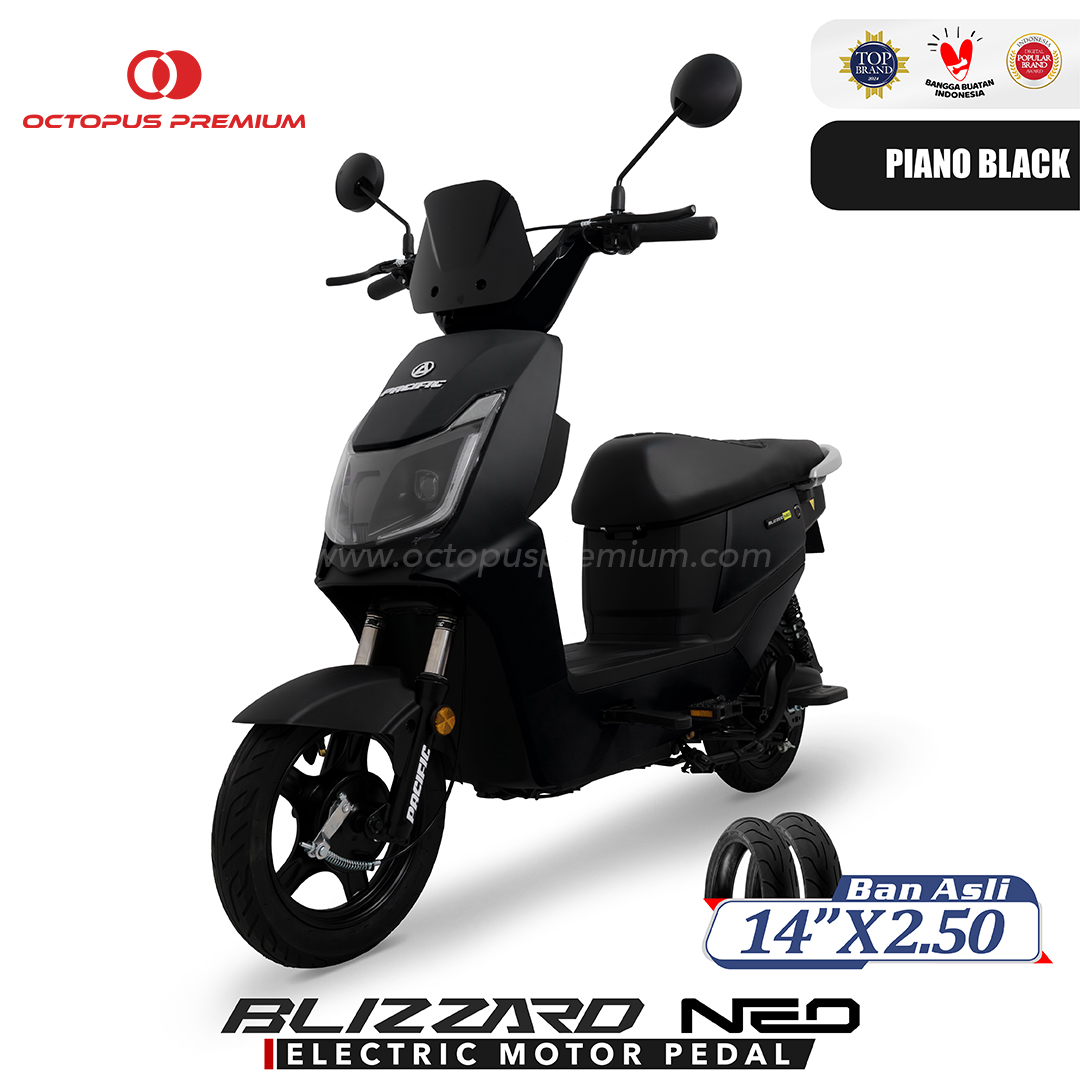 Sepeda Listrik Pacific Blizzard Neo Hitam